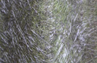 Buldoo fibreglass roof work