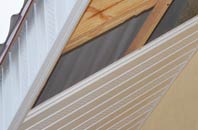 rated Buldoo soffit repair companies